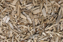 biomass boilers Penleigh